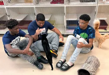 Three teens from the Greater Ridgecrest YMCA BTAG program visit animal shelter. Teens are in denim and tshirt playing with cats.