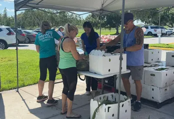 Food Drive