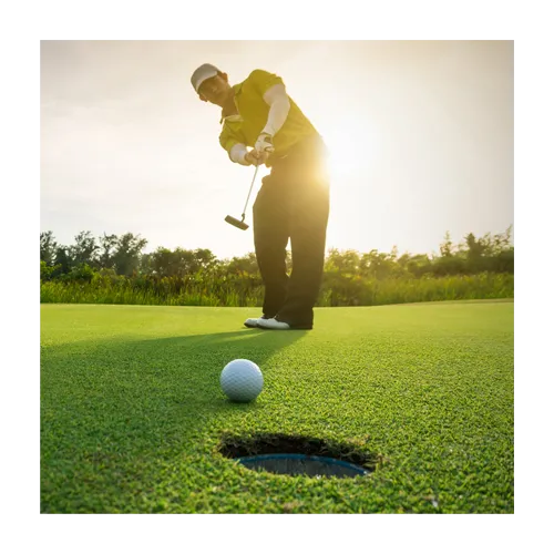 Foreground: golf ball rolling into hole. Background: man in golf attire putting at sunrise. Trees behind him.