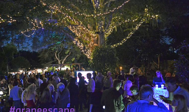 Grape Escape at Earthscapes Greater Palm Harbor YMCA