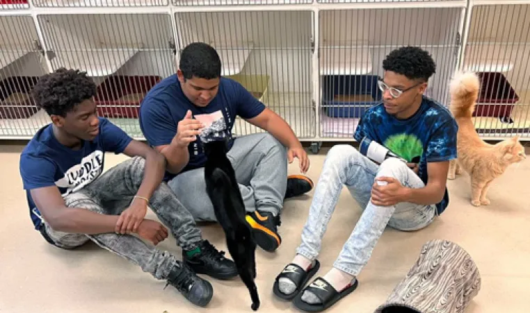 Three teens from the Greater Ridgecrest YMCA BTAG program visit animal shelter. Teens are in denim and tshirt playing with cats.